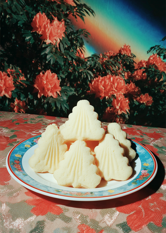 Hii. HOLIDAY No.2512-09